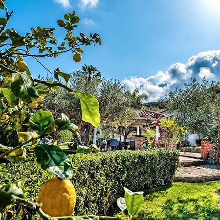 Capo dʼOrlando B&B Villa Bency מראה חיצוני תמונה