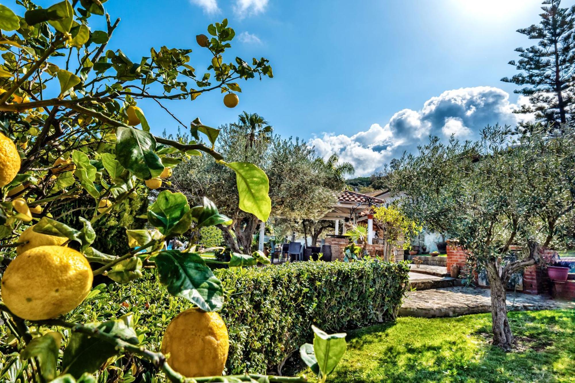 Capo dʼOrlando B&B Villa Bency מראה חיצוני תמונה