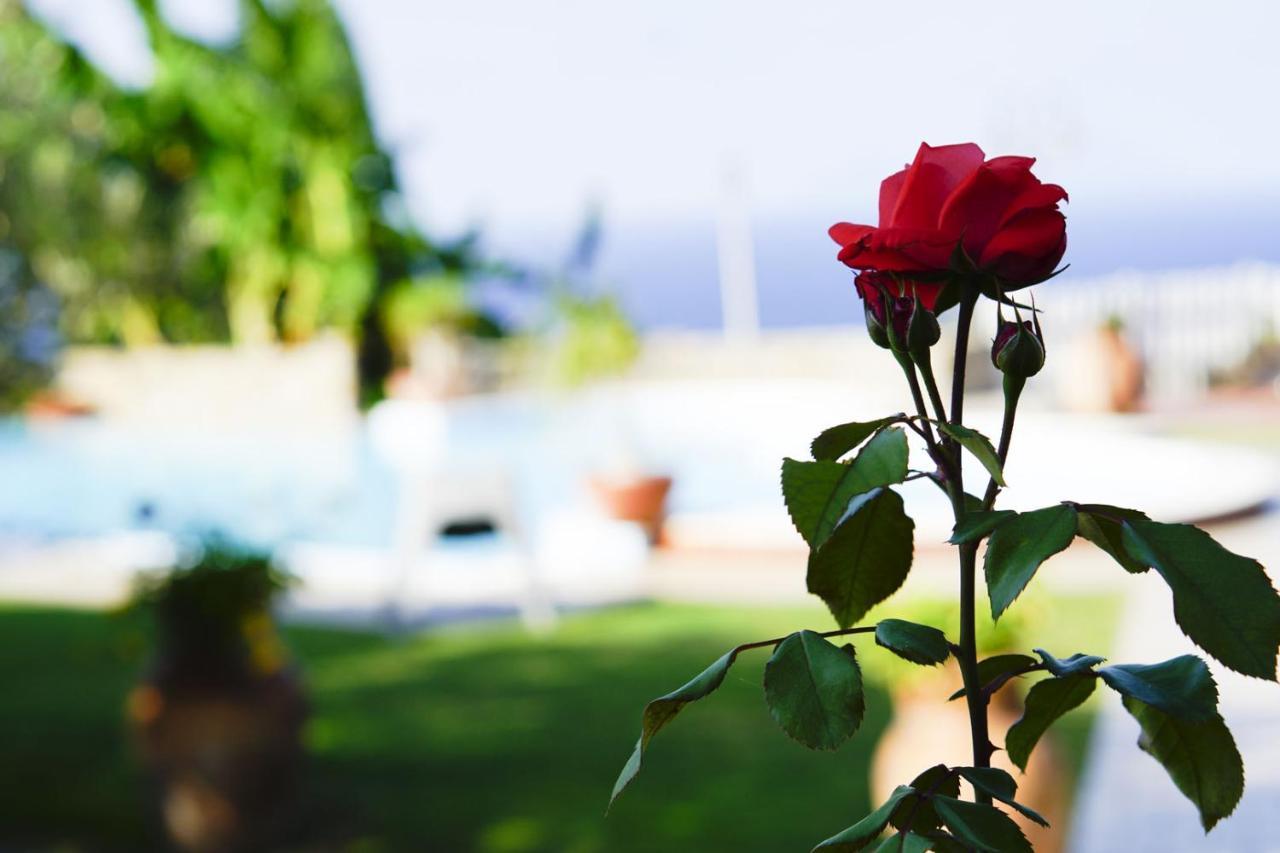 Capo dʼOrlando B&B Villa Bency מראה חיצוני תמונה